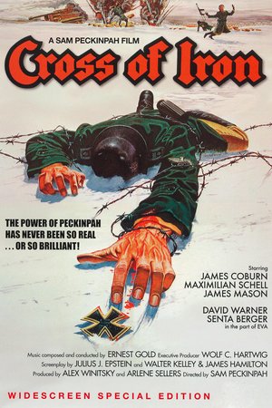 Cross of Iron, James Coburn,Maximilian Schell,James Mason,David Warner,Roger Fritz,Senta Berger,Fred Stillkrauth,Burkhard Driest,Vadim Glowna,Dieter Schidor