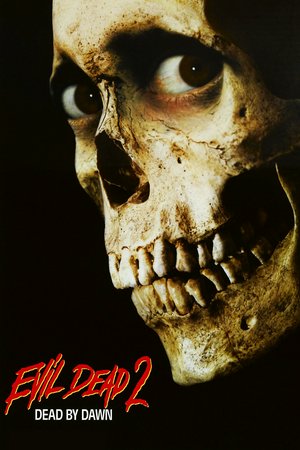 Evil Dead II, Bruce Campbell,Sarah Berry,Dan Hicks,Kassie Wesley,Ted Raimi,John Peakes,Denise Bixler,Richard Domeier