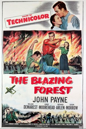 The Blazing Forest, John Payne, Susan Morrow, Agnes Moorehead, Richard Arlen, William Demarest, Roscoe Ates, Lynne Roberts, Ewing Mitchell, Walter Reed, James Davies