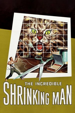 The Incredible Shrinking Man, Grant Williams,Randy Stuart,Paul Langton,April Kent,Raymond Bailey,William Schallert,Frank Scannell,Helene Marshall,Diana Darrin,Billy Curtis