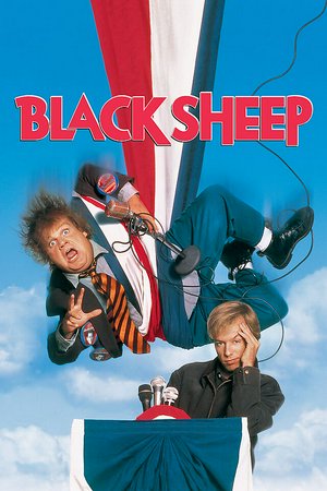 Black Sheep, Chris Farley,David Spade,Tim Matheson,Christine Ebersole,Gary Busey,Grant Heslov,Bruce McGill,Timothy Carhart,Michael Patrick Carter,Boyd Banks