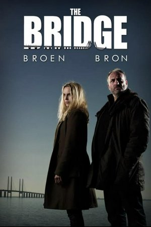 The Bridge (Tv Series - Season 1),  Sofia Helin, Rafael Pettersson, Candice van Litsenborgh