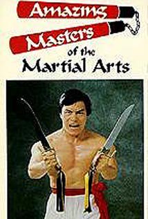 Amazing Masters of Martial Arts, Sonny Chiba, Carter Wong, Bruce Lei